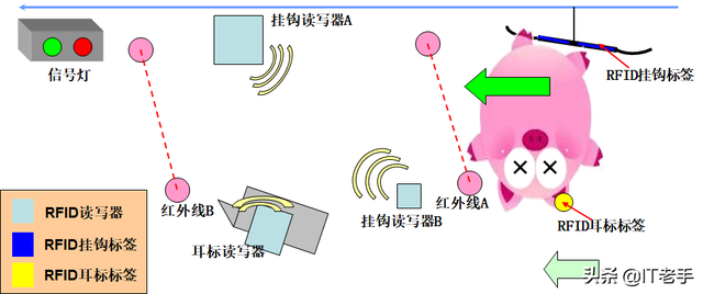 RFID（无线射频识别）技术在生猪饲养及屠宰厂的应用方案