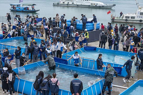 共抓长江大保护 1万尾大规格“子二代”中华鲟放归长江