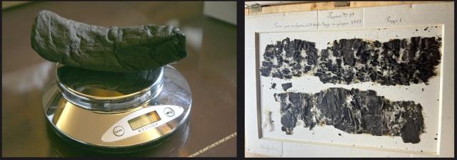 历史与AI的距离｜从甲骨文到古希腊铭文：AI挑战古代文献