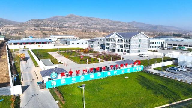 西宁这里 “牛”劲十足～