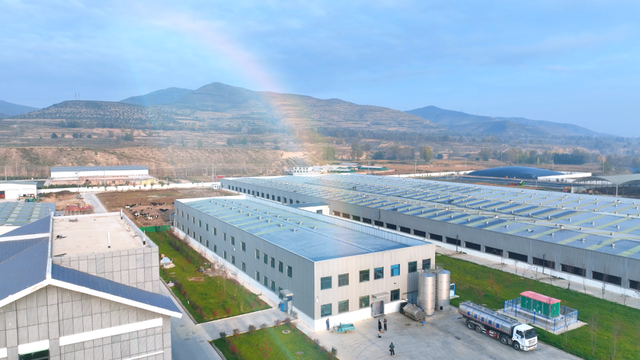 西宁这里 “牛”劲十足～