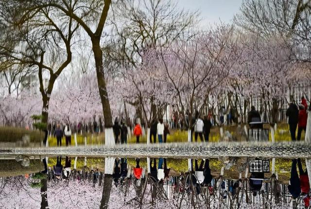 “文旅+AI”充满想象，但有些AI给不了